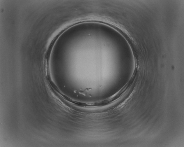 X0000070191510200605301259