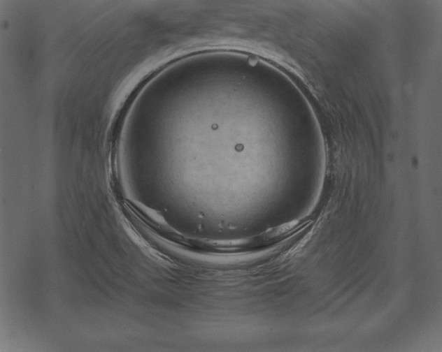 X0000070191511200605301259