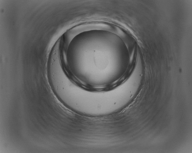 X0000070191512200605301259