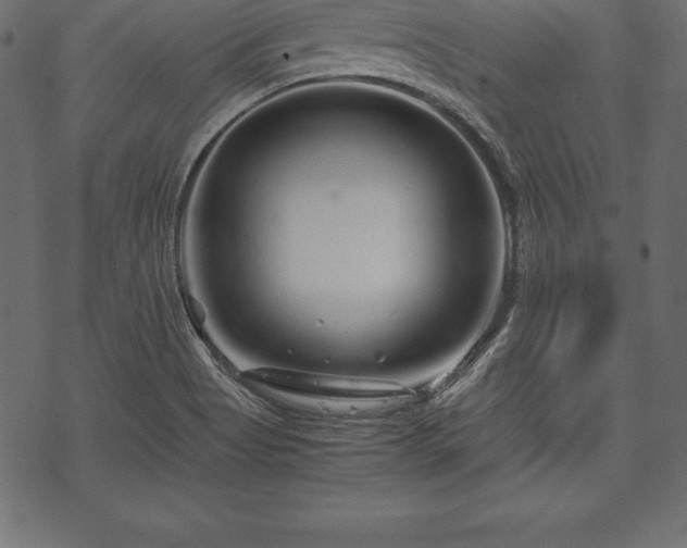 X0000070191513200605301300