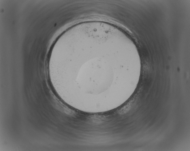 X0000070191514200605301300