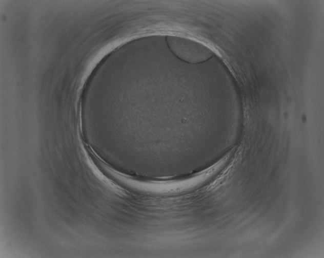 X0000070191515200605301300