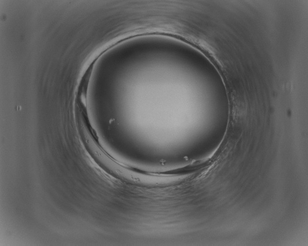 X0000070191516200605301300