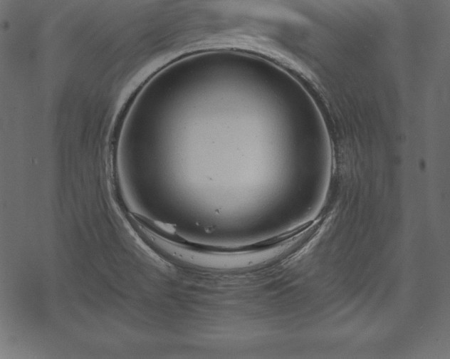 X0000070191517200605301300