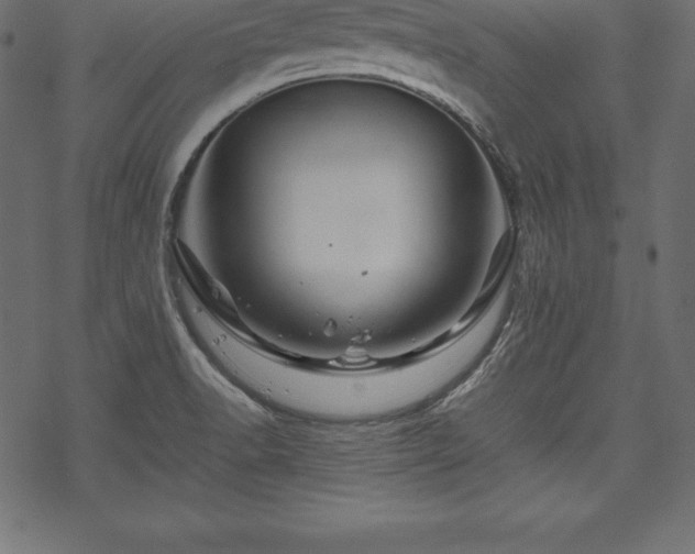 X0000070191518200605301300