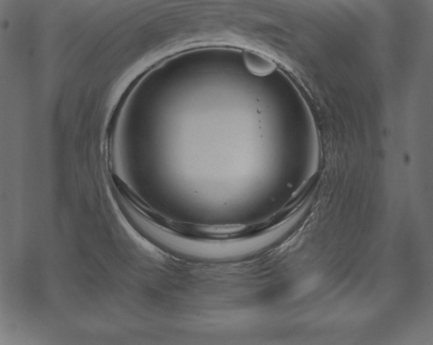 X0000070191519200605301300