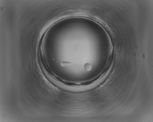 X0000070191520200605301300