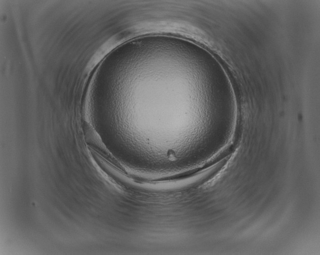 X0000070191521200605301300