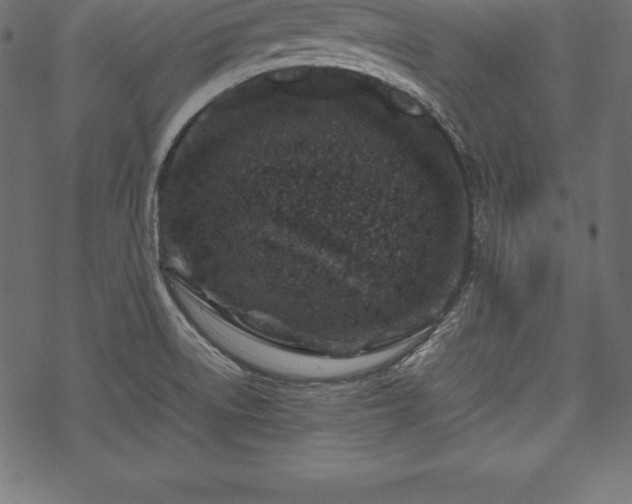 X0000070191522200605301300