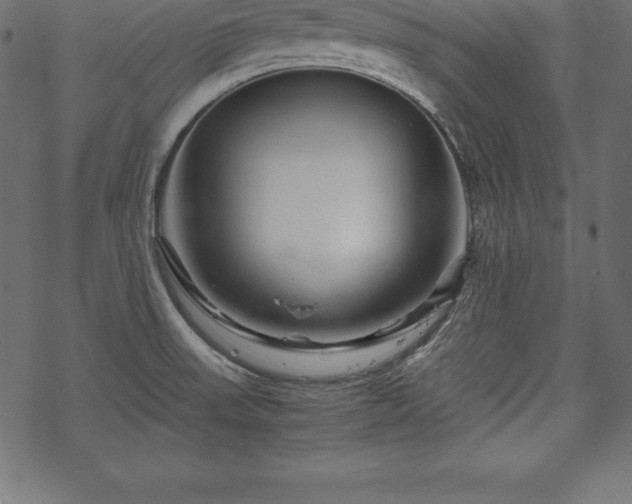 X0000070191523200605301300