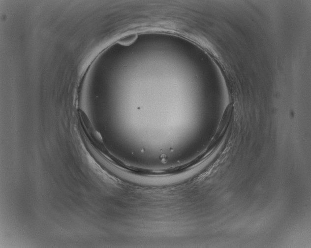 X0000070191524200605301300