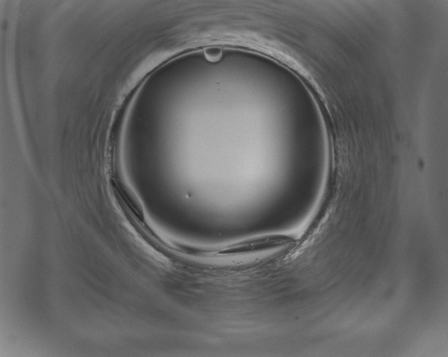 X0000070191525200605301300