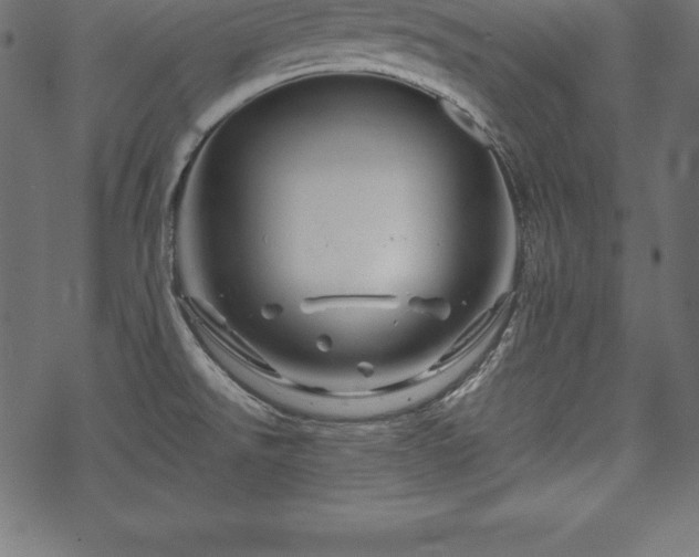 X0000070191526200605301300