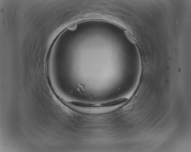 X0000070191527200605301300