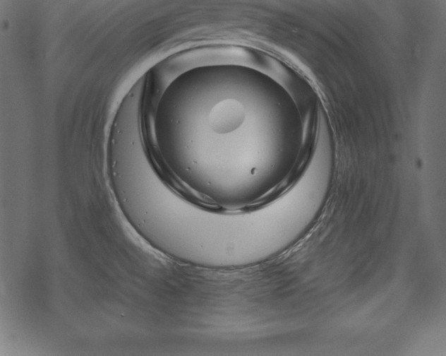 X0000070191528200605301300