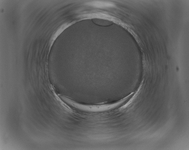 X0000070191529200605301300