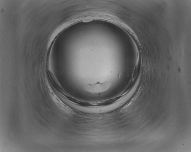 X0000070191530200605301300