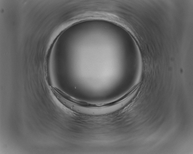 X0000070191531200605301300