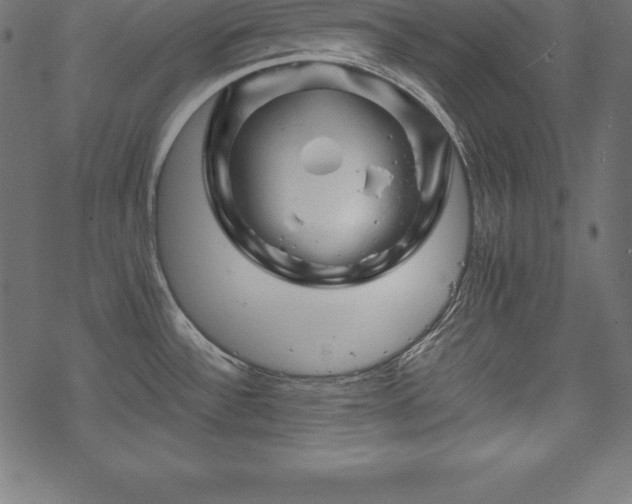 X0000070191532200605301300