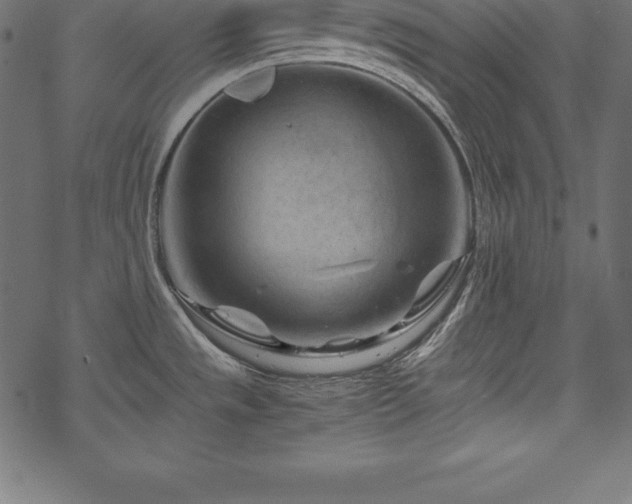 X0000070191533200605301300