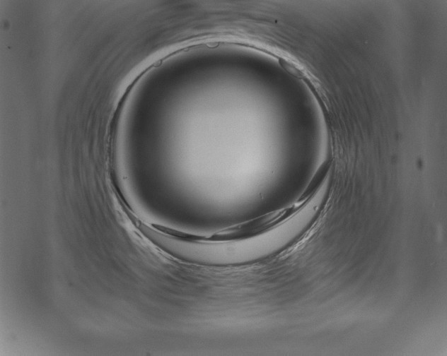 X0000070191534200605301300