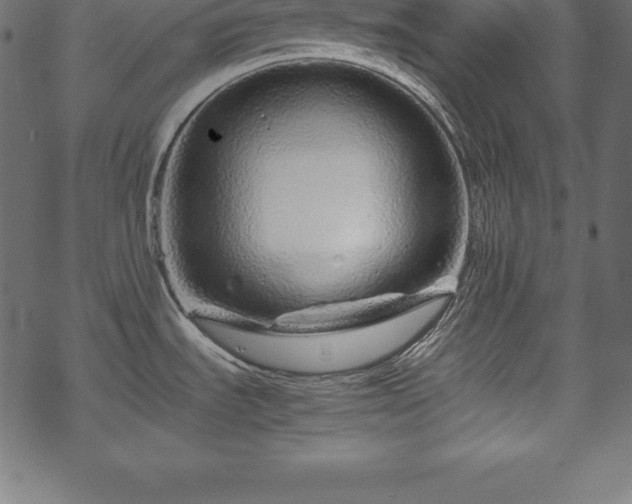 X0000070191535200605301300