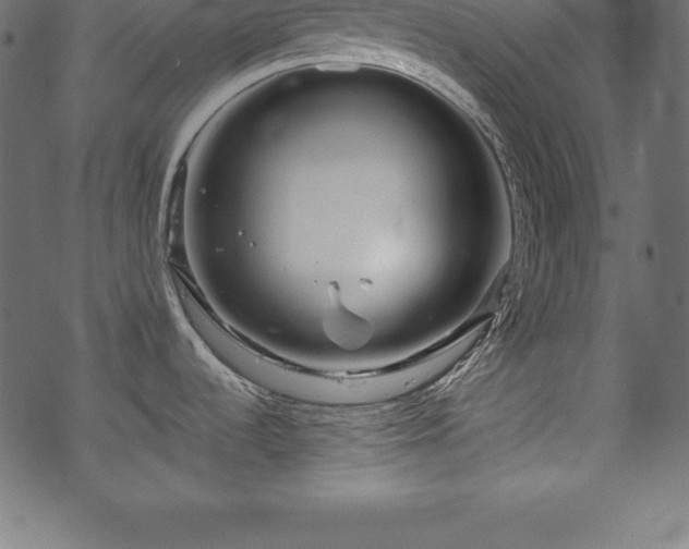 X0000070191536200605301300