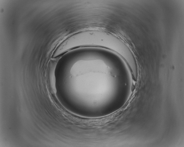 X0000070190001200606021109