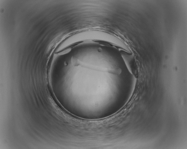 X0000070190002200606021109