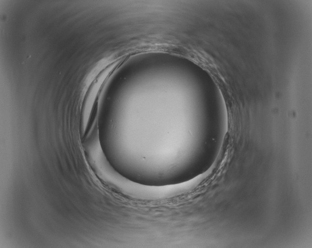 X0000070190003200606021109