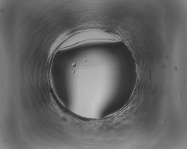 X0000070190004200606021109