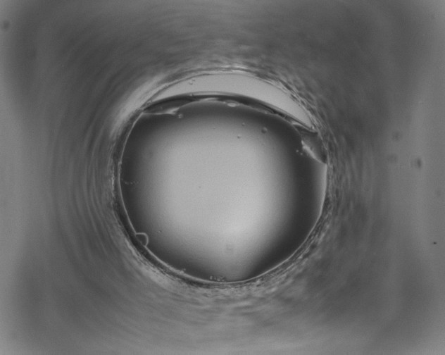 X0000070190005200606021109