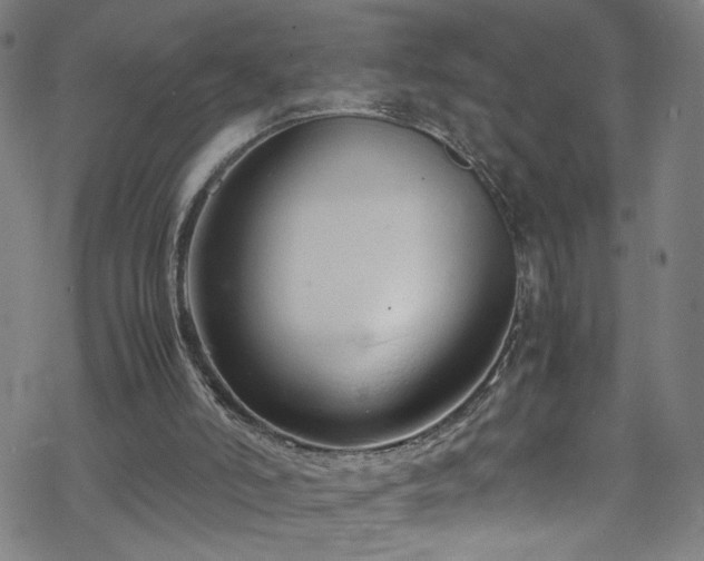 X0000070190006200606021109