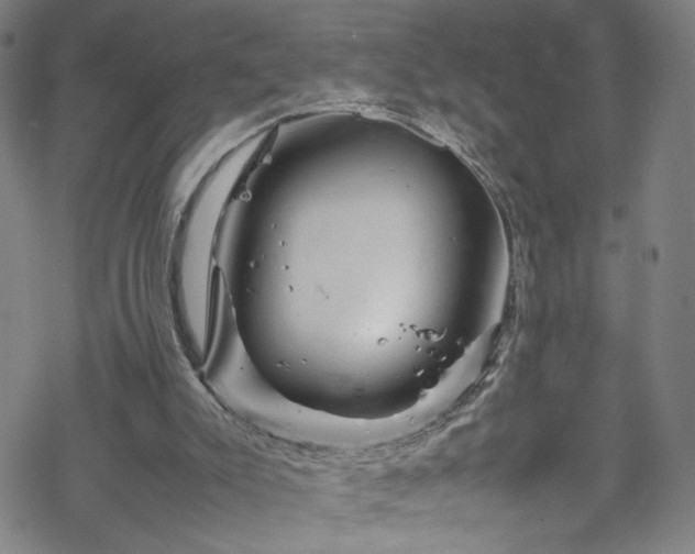 X0000070190007200606021109