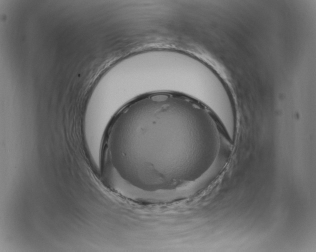 X0000070190009200606021109