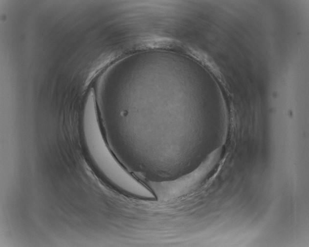 X0000070190010200606021109