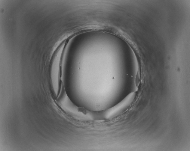 X0000070190011200606021109