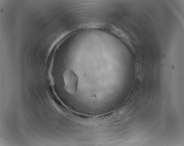 X0000070190012200606021109