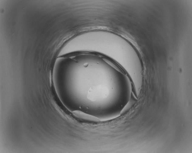 X0000070190013200606021109