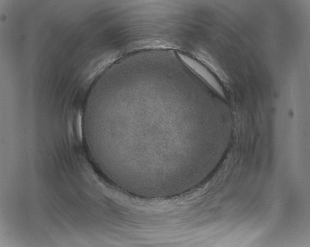 X0000070190014200606021109