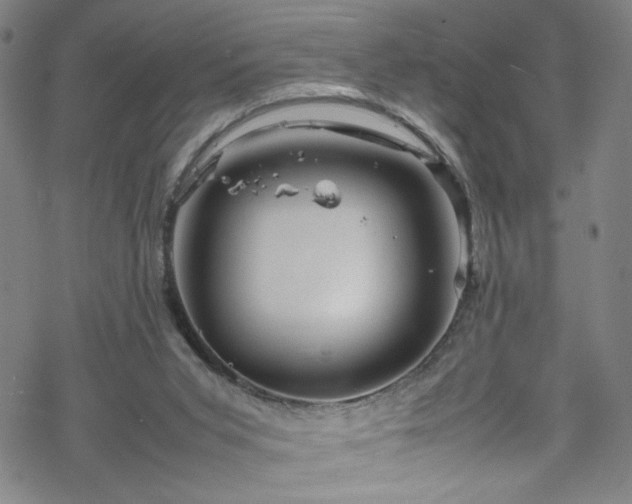 X0000070190015200606021109