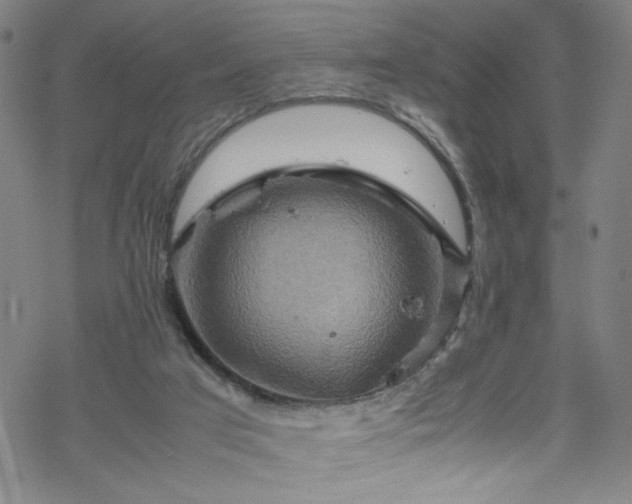 X0000070190017200606021109