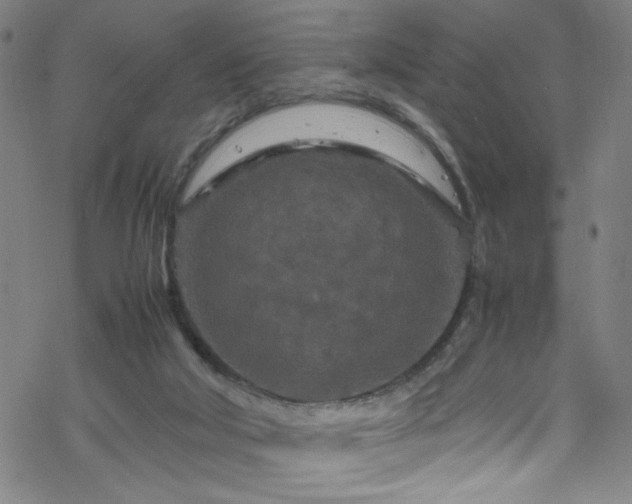 X0000070190018200606021109