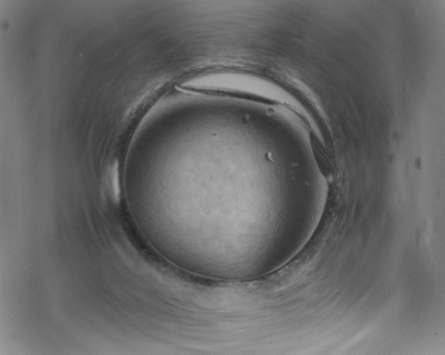 X0000070190020200606021109