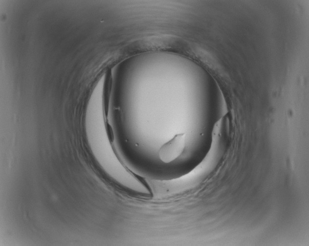 X0000070190021200606021109