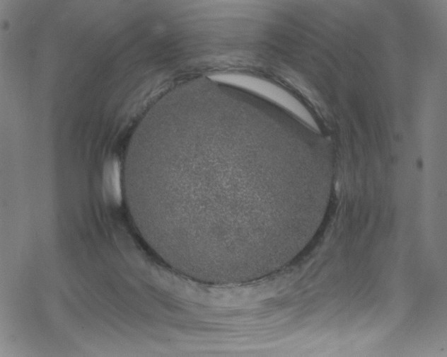 X0000070190022200606021108