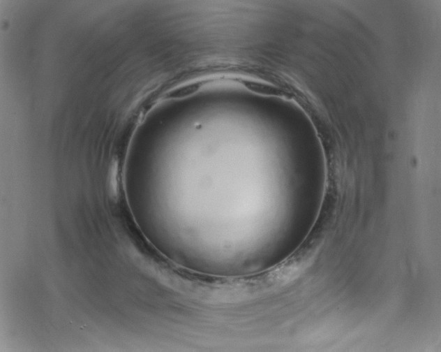 X0000070190024200606021108