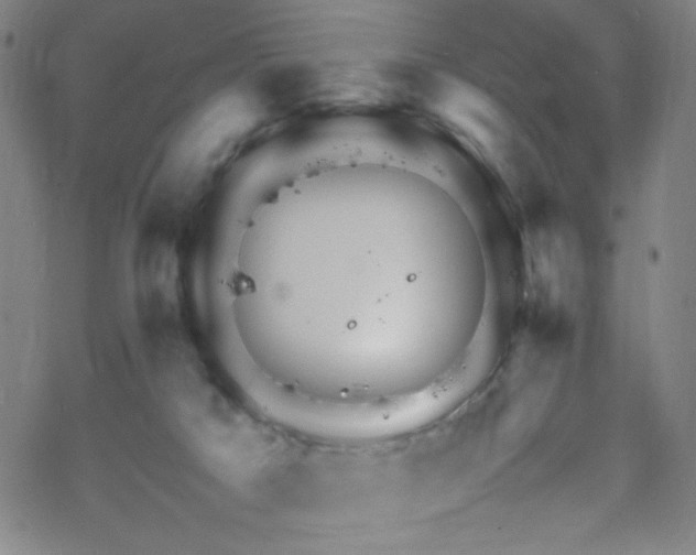 X0000070190025200606021108