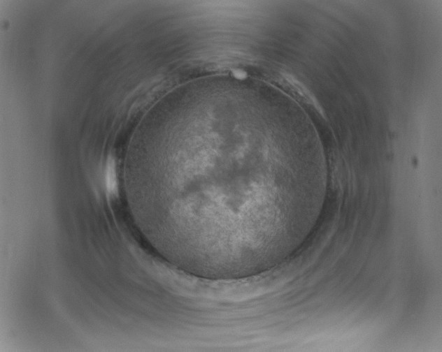 X0000070190026200606021108