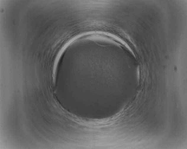 X0000070190027200606021108